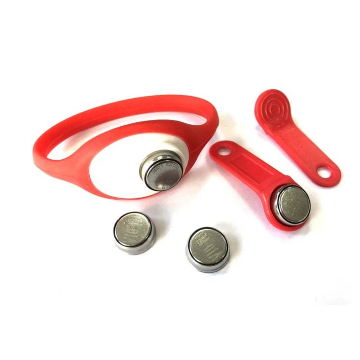 Smart iButton Dallas Key RW1990
